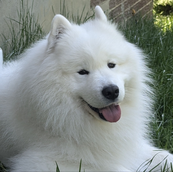 Meet your Posher, Valerie - Picture 2 of 2